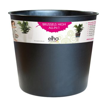 brussels diamond high easy insert 27cm living black