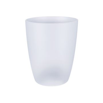 brussels orchid high 12,5cm transparent