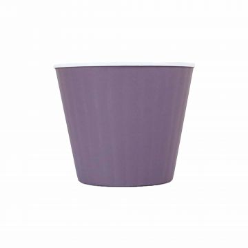 Ghiveci Ibis 15.7x13 Violet / Alb