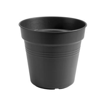 green basics growpot 21cm living black