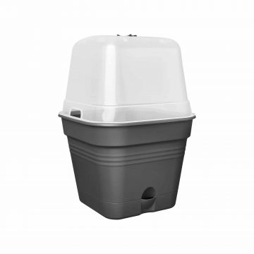 green basics growpot square allin1 30cm, culoare living black