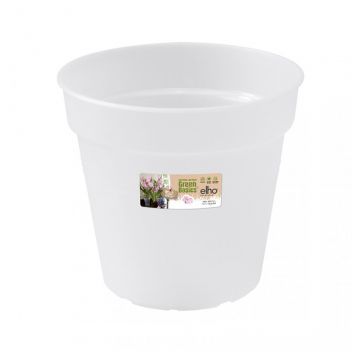 green basics orchid 15cm transparent