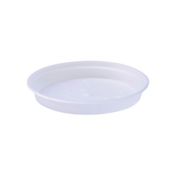 green basics orchid saucer 10cm transparent