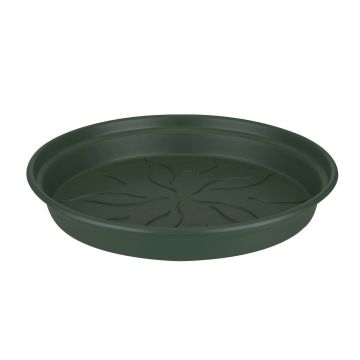 green basics saucer 22cm leaf green