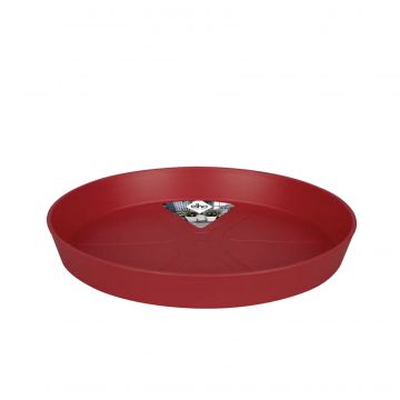 loft urban saucer round 21cm cranberry red