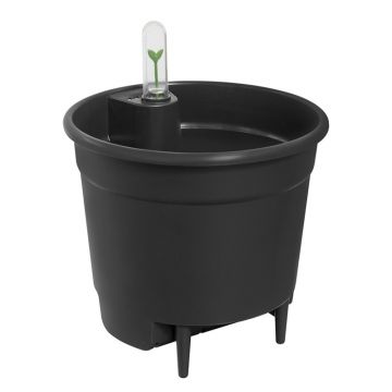 self-watering insert 36cm living black