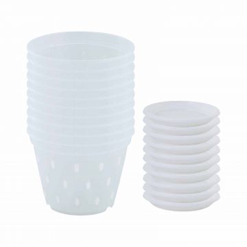 Set 10 Ghivece cu gauri pentru Orhidee 14 cm cu farfurii, transparente
