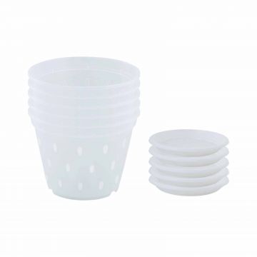 Set 5 Ghivece cu gauri pentru Orhidee 14 cm cu farfurii, transparente