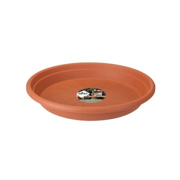 universal saucer round 40cm terra