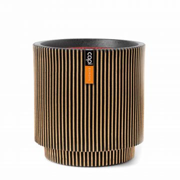 Vase cylinder groove 11*12 black gold