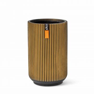Vase high Groove 17x27 black gold