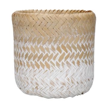 Ghiveci din iarbă de mare Kitchen Craft Ombré Ghiveci din iarbă de mare Kitchen Craft Ombré